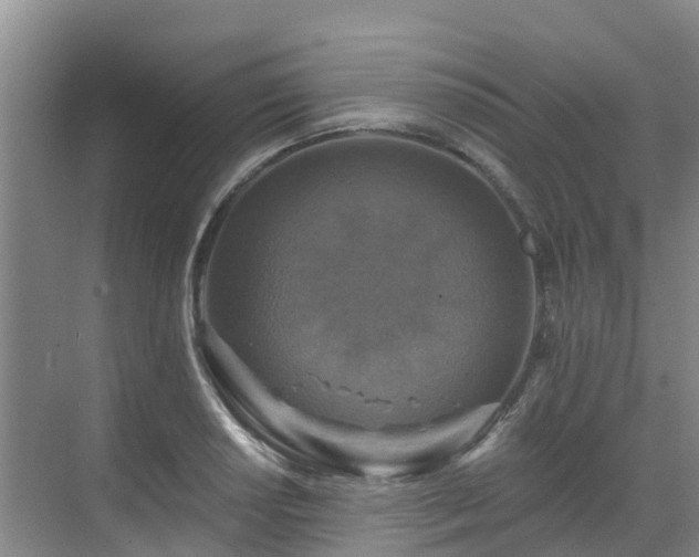 X0000068841034200605081234