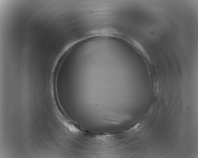 X0000068841035200605081234