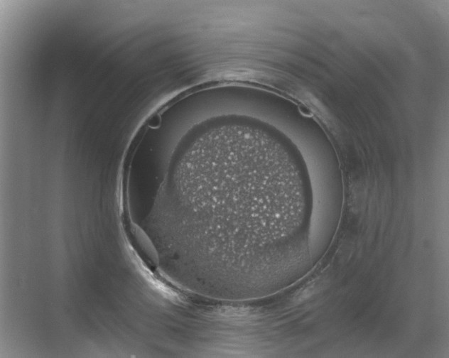 X0000068841036200605081234