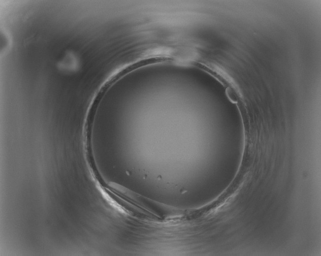 X0000068841037200605081234