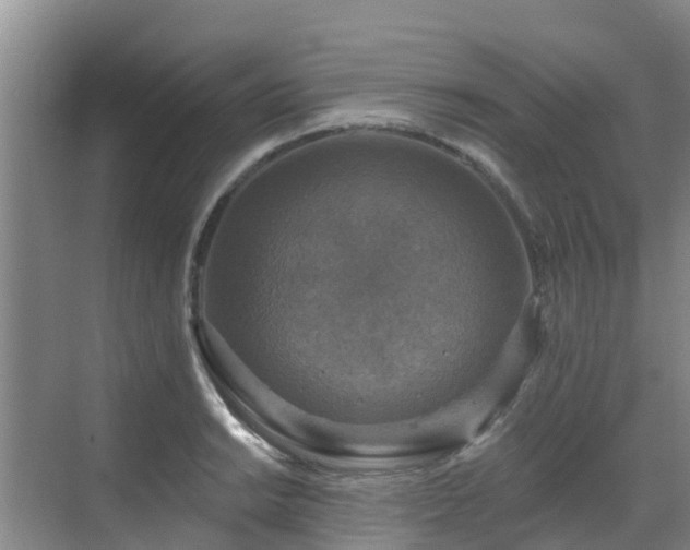 X0000068841038200605081234