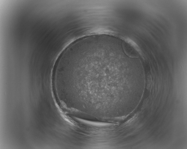 X0000068841039200605081234