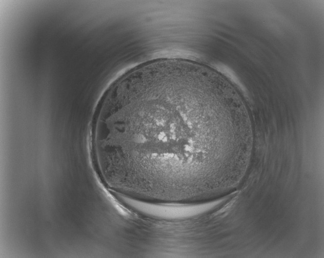 X0000068841040200605081234