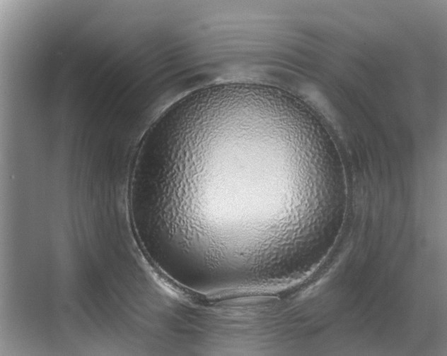 X0000068841041200605081234