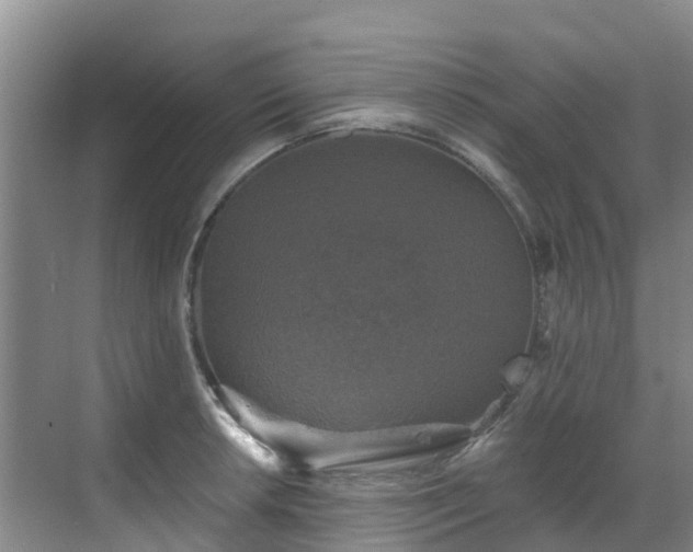 X0000068841042200605081234