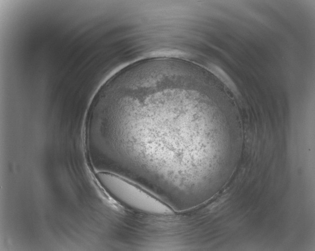 X0000068841044200605081234