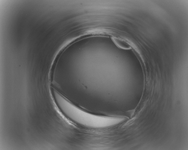 X0000068841045200605081234