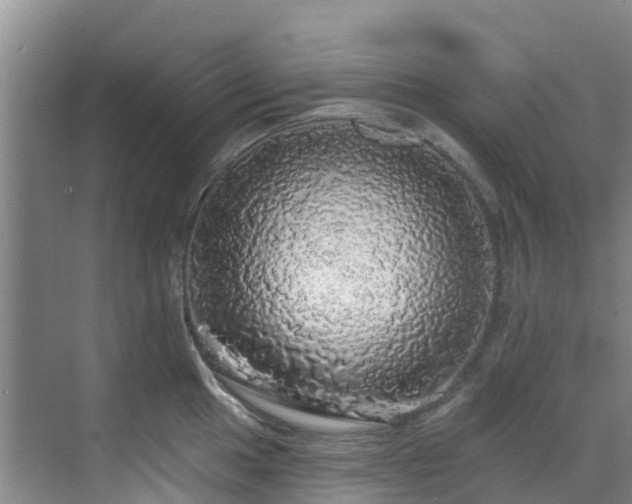 X0000068841049200605081234