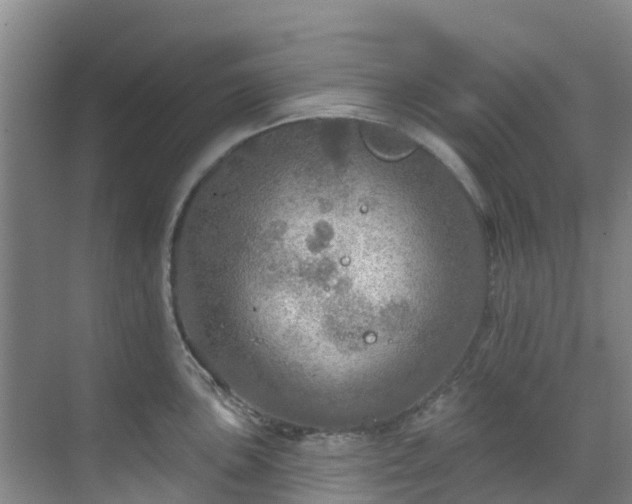 X0000068841051200605081234