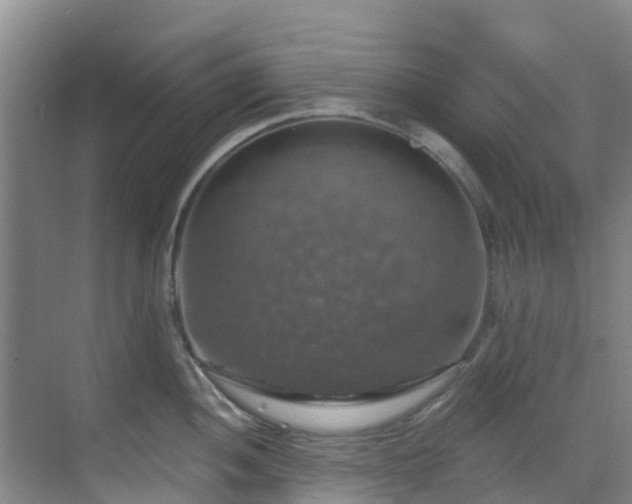 X0000068841052200605081234