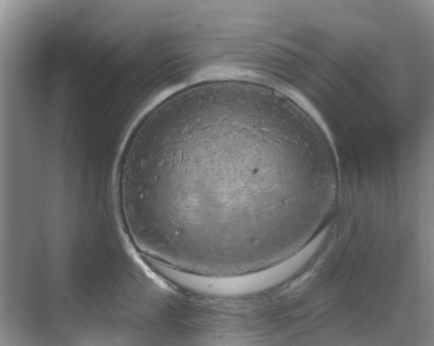 X0000068841053200605081234