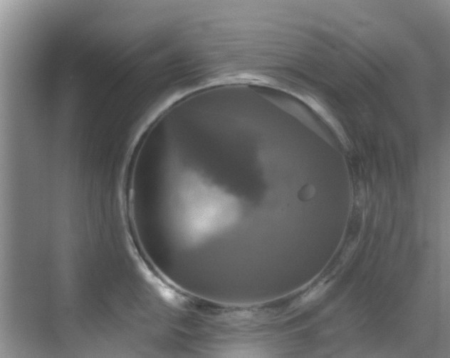 X0000068841054200605081234