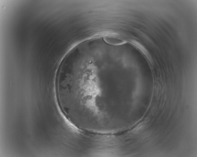 X0000068841055200605081234