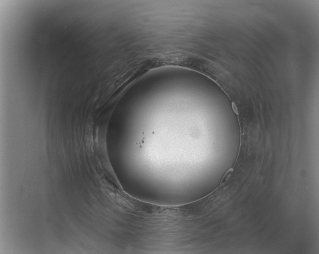 X0000068841058200605081233