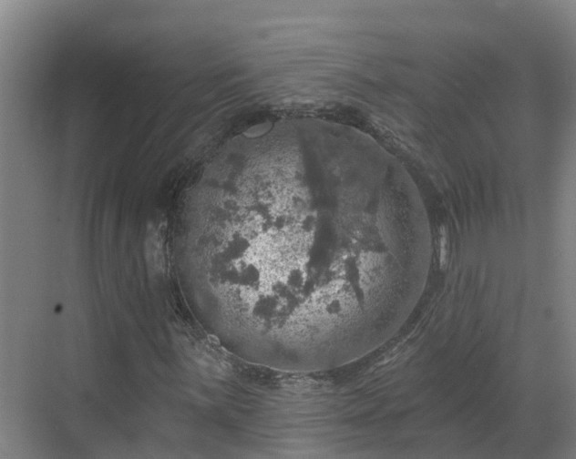 X0000068841059200605081233