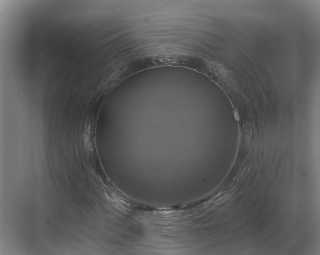 X0000068841060200605081233