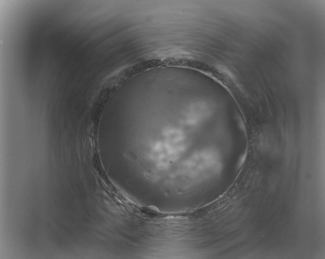 X0000068841063200605081233