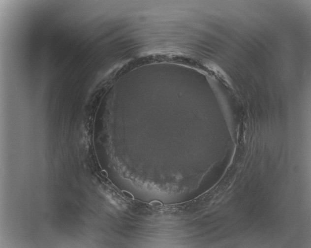 X0000068841064200605081233