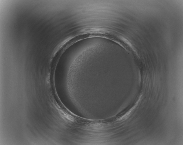 X0000068841066200605081233