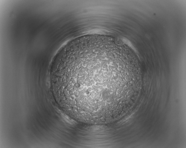 X0000068841067200605081233