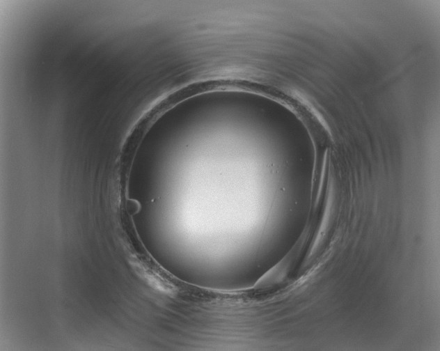 X0000068841069200605081233