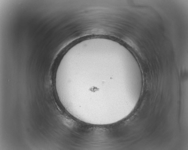 X0000068841070200605081233