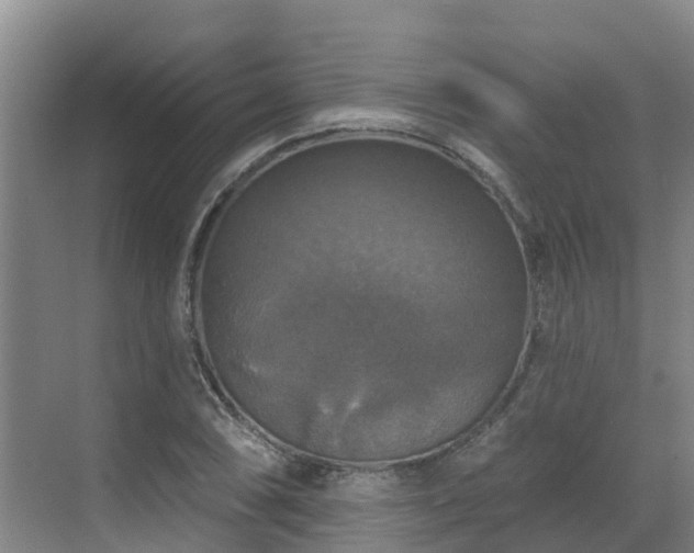 X0000068841074200605081233