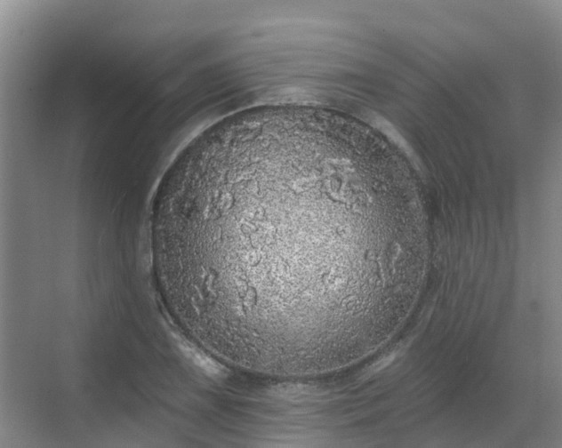 X0000068841075200605081233