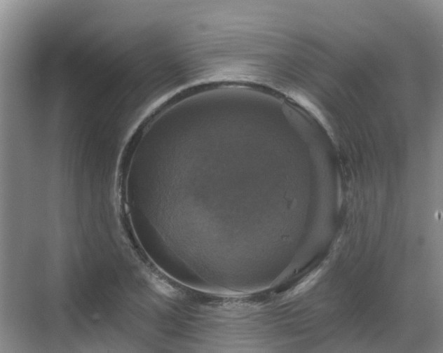 X0000068841077200605081233