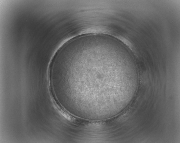 X0000068841078200605081233