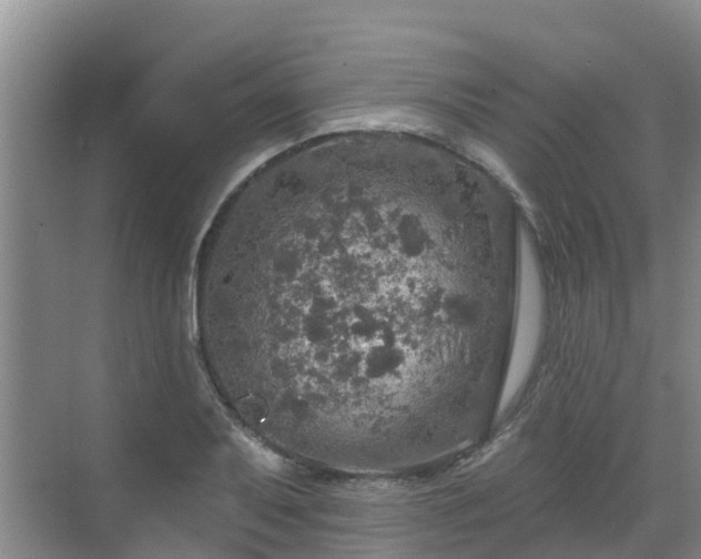 X0000068841079200605081233