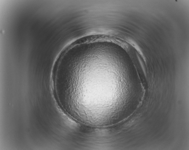 X0000068841080200605081233