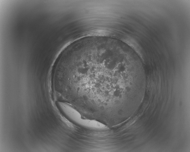 X0000068841083200605081233