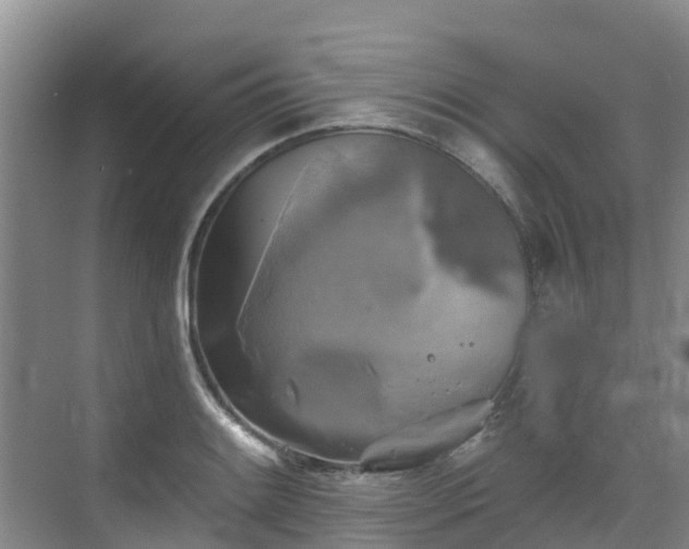 X0000068841084200605081233