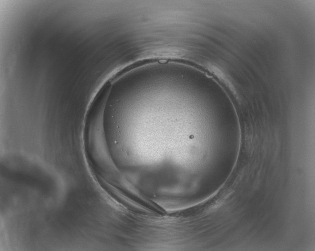 X0000068841085200605081233