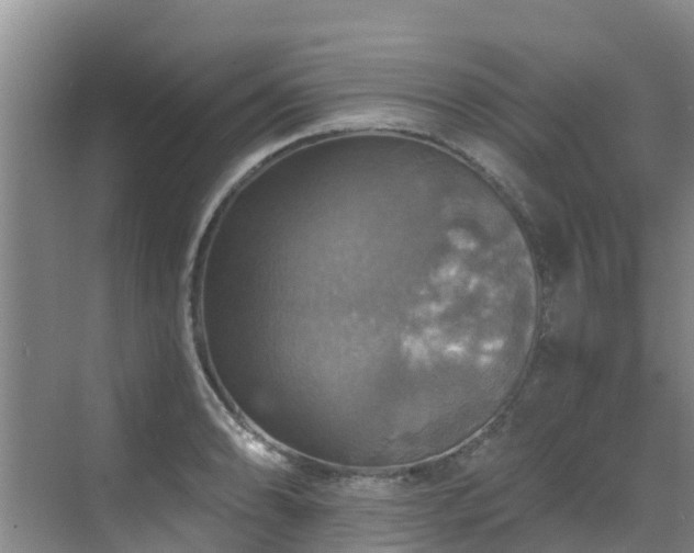 X0000068841086200605081233