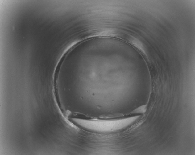 X0000068841087200605081233