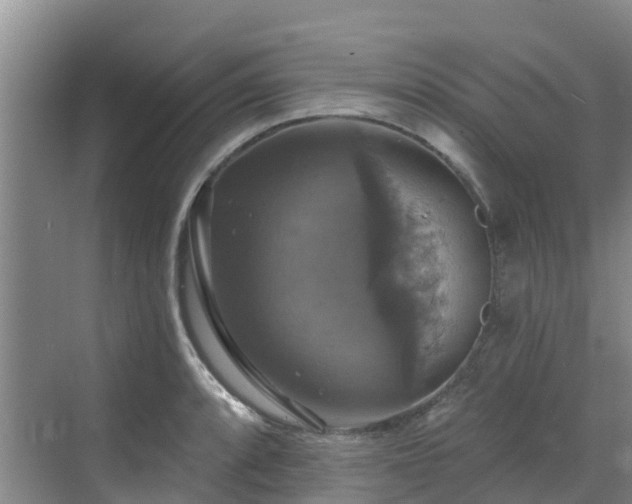 X0000068841088200605081233