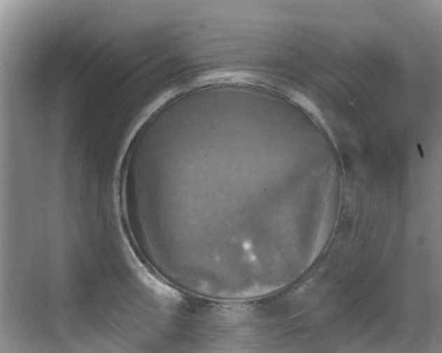 X0000068841090200605081233