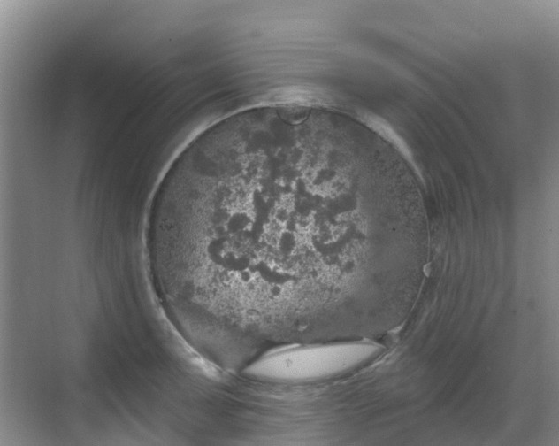 X0000068841091200605081233