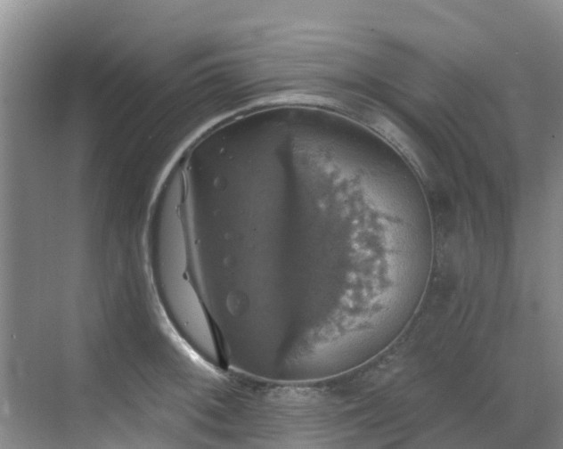 X0000068841092200605081233