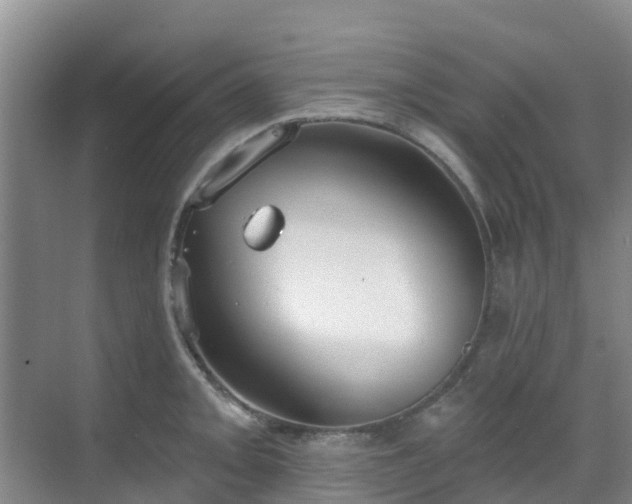 X0000068841093200605081233