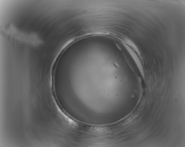 X0000068841095200605081233