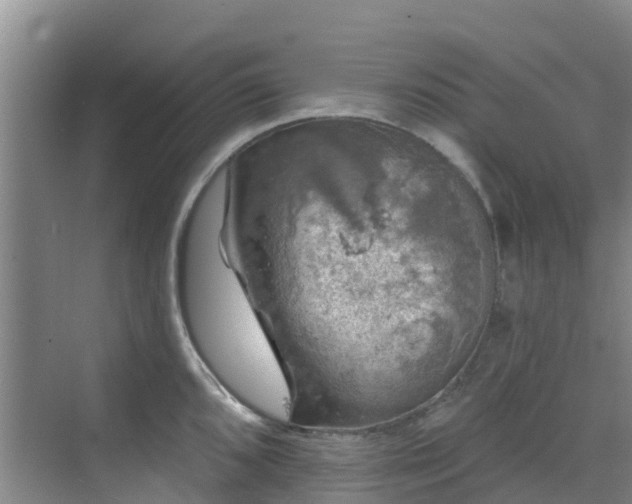 X0000068841096200605081233