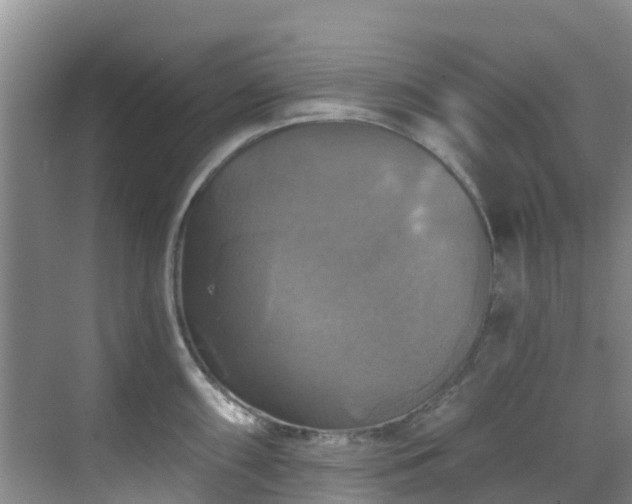 X0000068841098200605081233