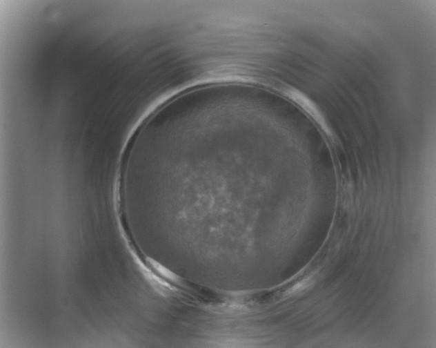 X0000068841101200605081233