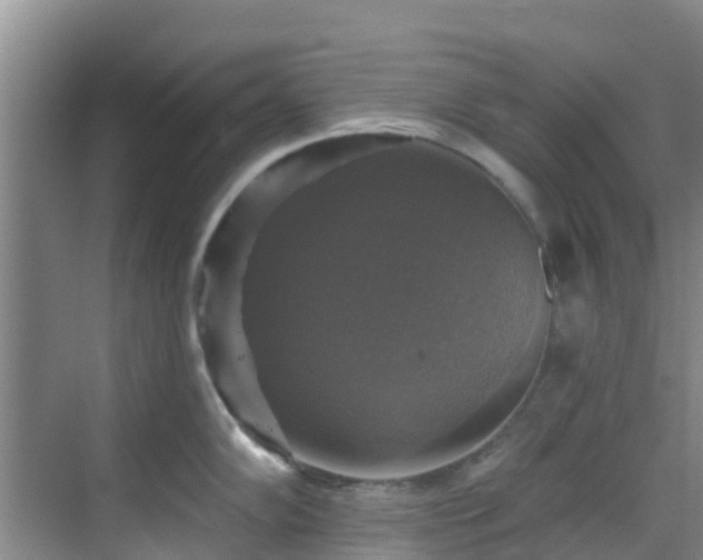 X0000068841102200605081233