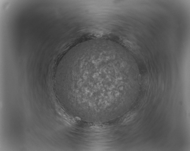 X0000068841105200605081232