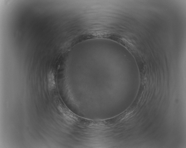 X0000068841106200605081232