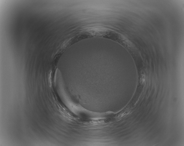 X0000068841108200605081232